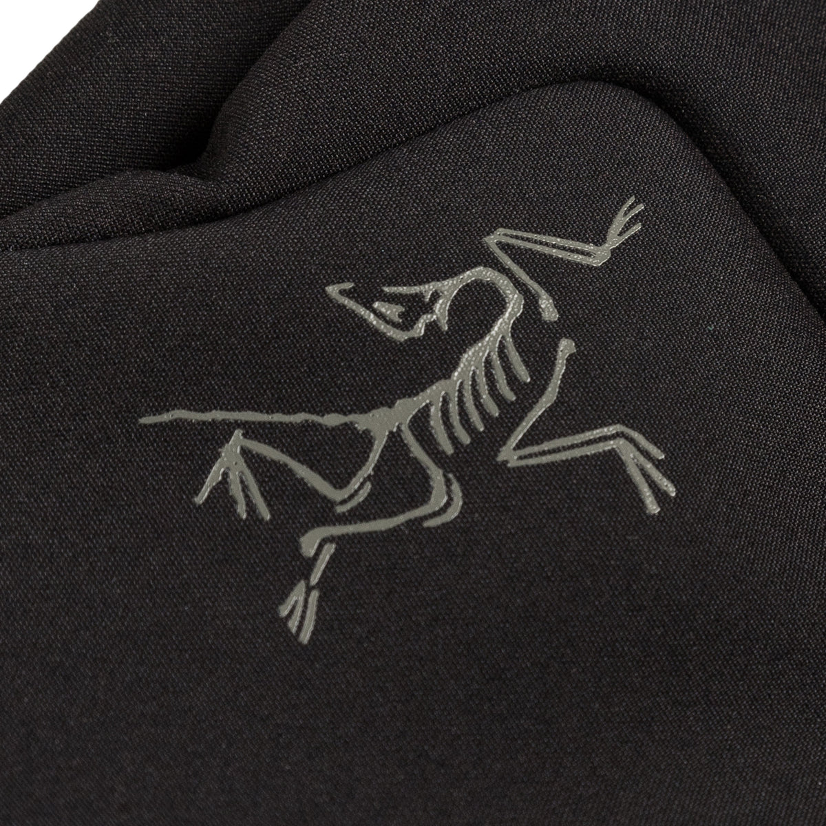 Archaeopteryx pullover hoody online