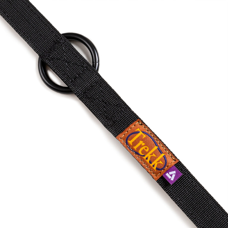 Trekk Dog Leash onfeet