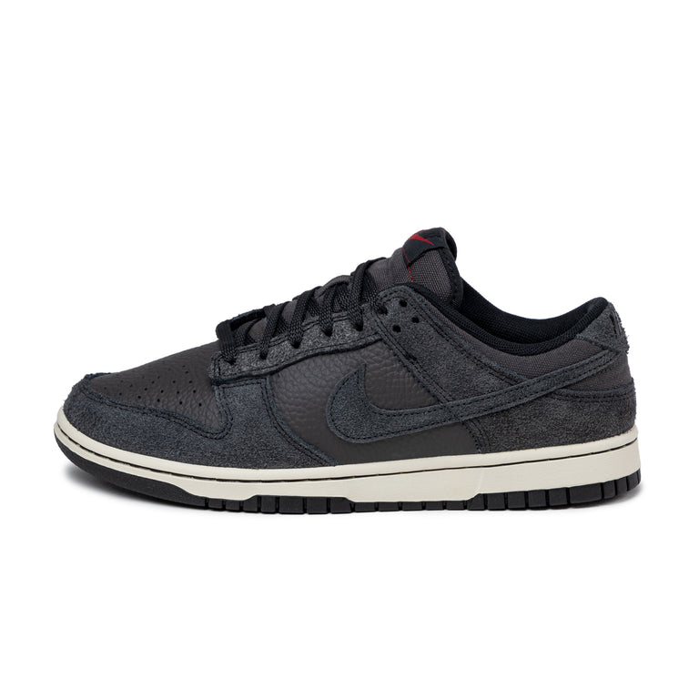 Nike Dunk Low Retro PRM