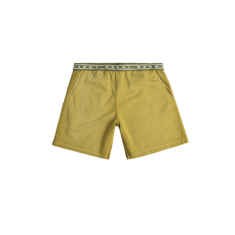 Shorts - buy online now at Asphaltgold!