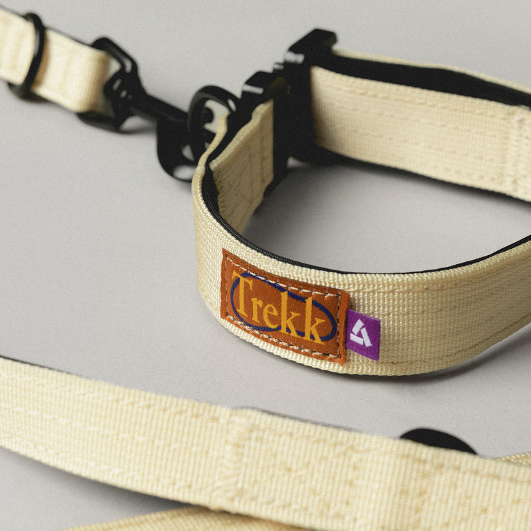 Trekk Dog Collar onfeet