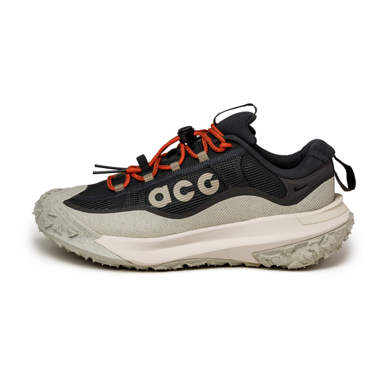 Nike ACG Mountain Fly 2 Low *GTX*