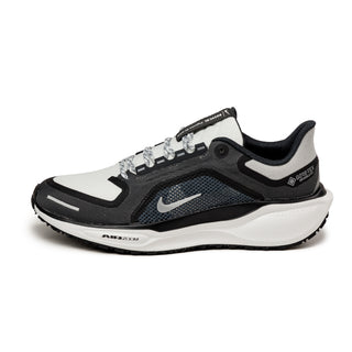 Nike Air Zoom Pegasus 41 *Gore-Tex*