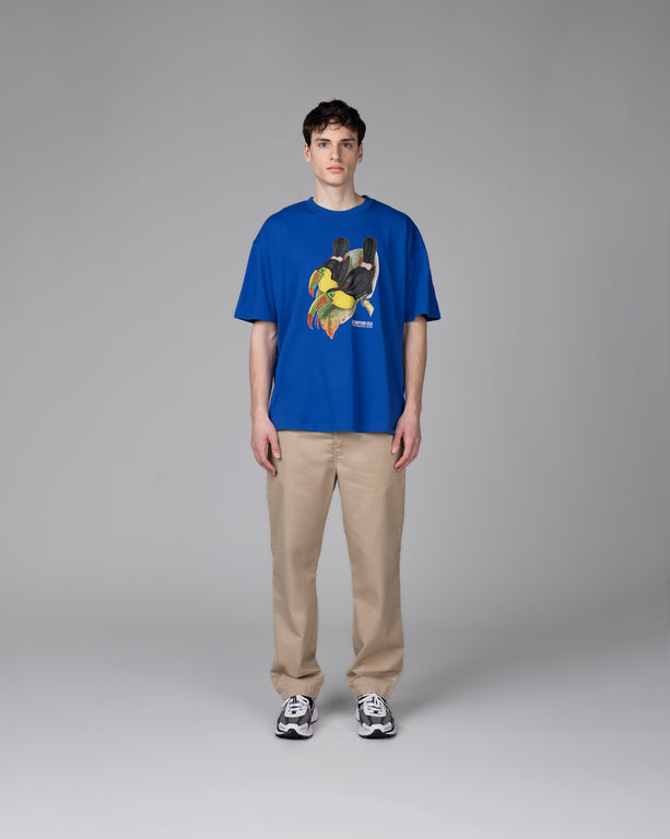 Nike	ACG Dri-Fit Toucan T-Shirt