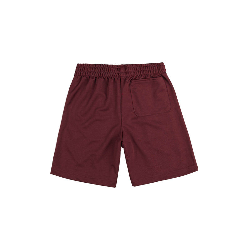 Asphaltgold Summer of Joy Shorts onfeet