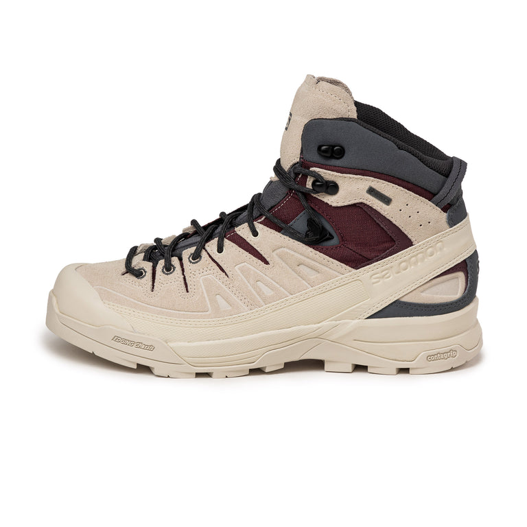 Salomon X-Alp Mid Leather GTX onfeet