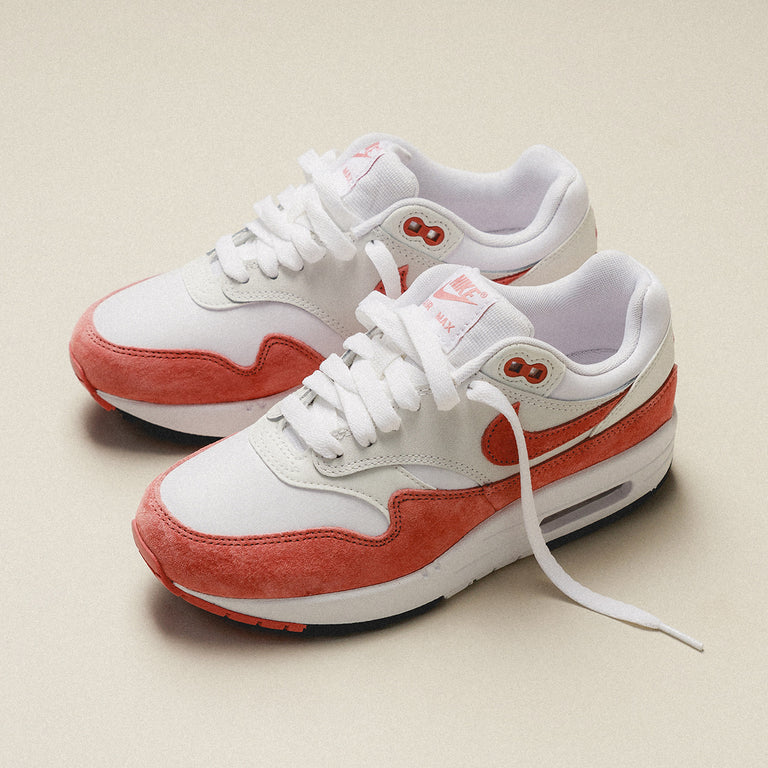 Nike Wmns Air Max 1 '87 onfeet