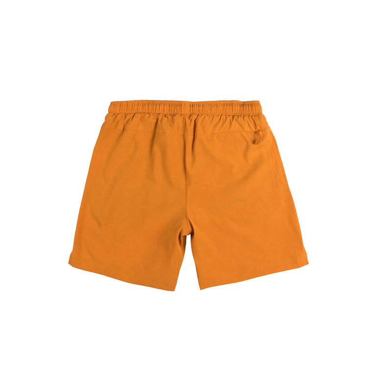 Dime Secret Swim Shorts