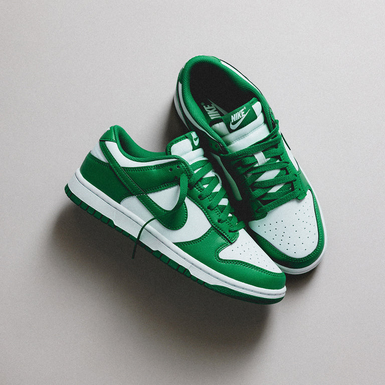 Nike Dunk Low Retro onfeet