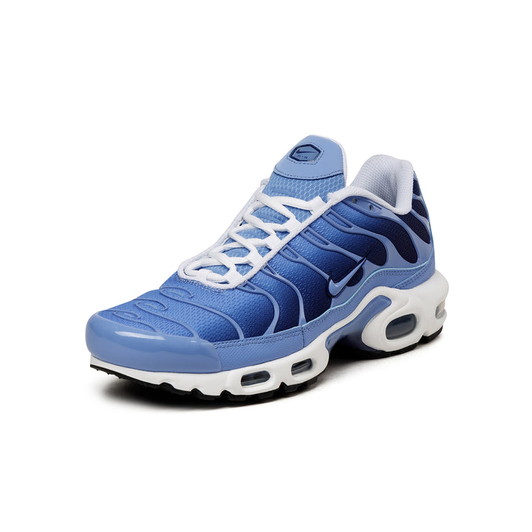 Nike Air Max Plus onfeet