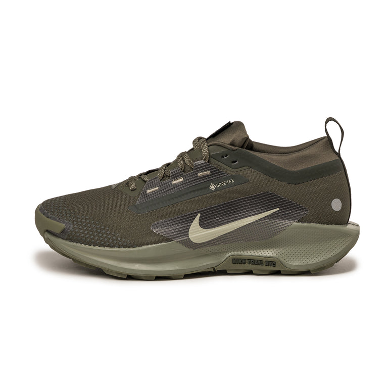 Nike Pegasus Trail 5 *Gore-Tex* SP