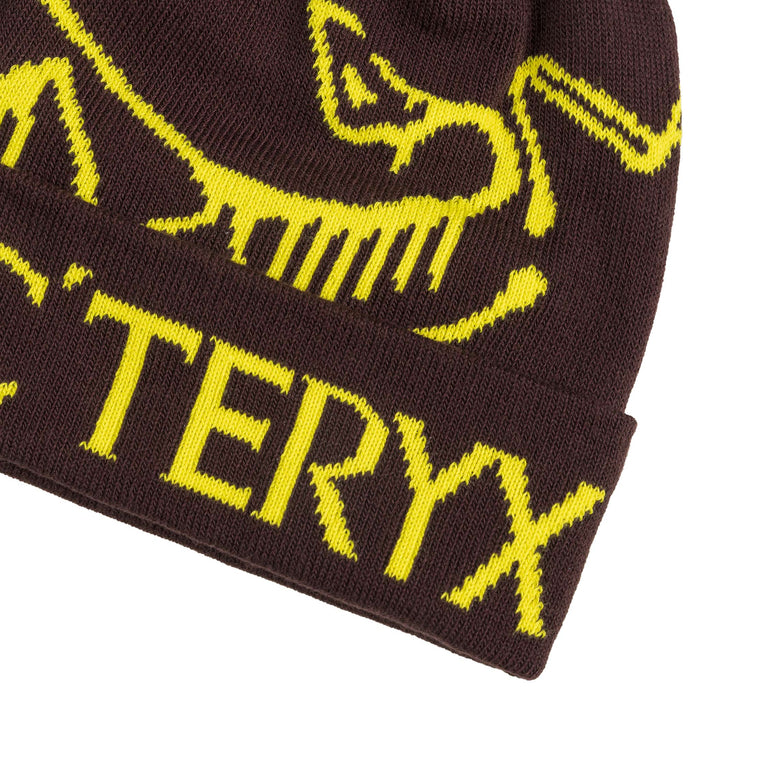 Arcteryx Bird Word Toque onfeet