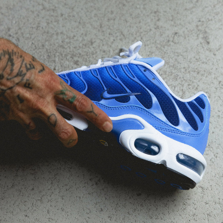 Nike Air Max Plus onfeet