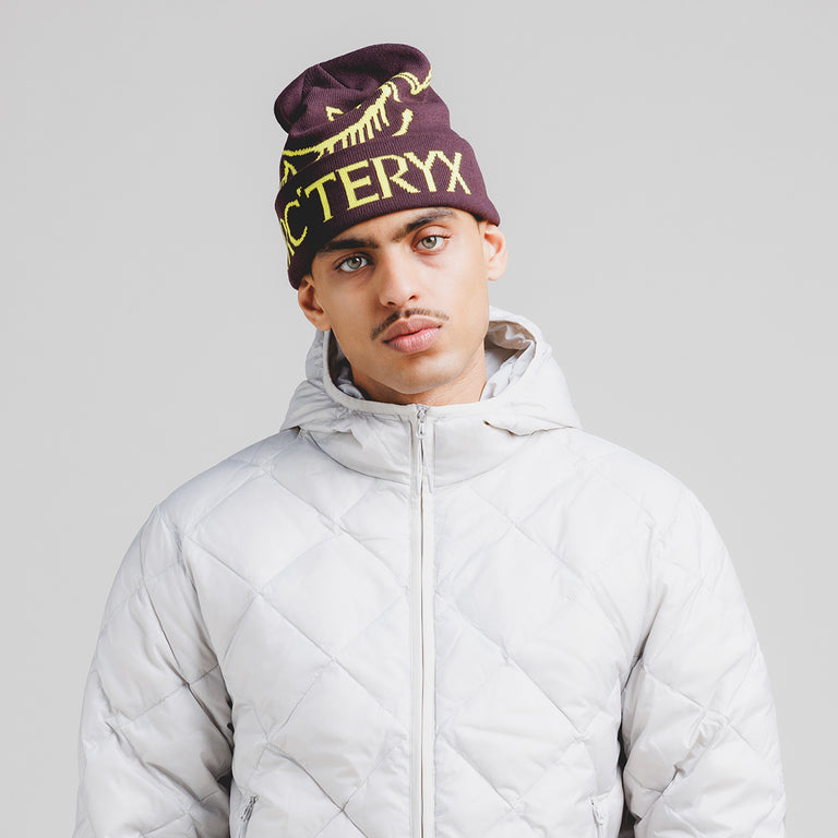 Arcteryx toque beanie online