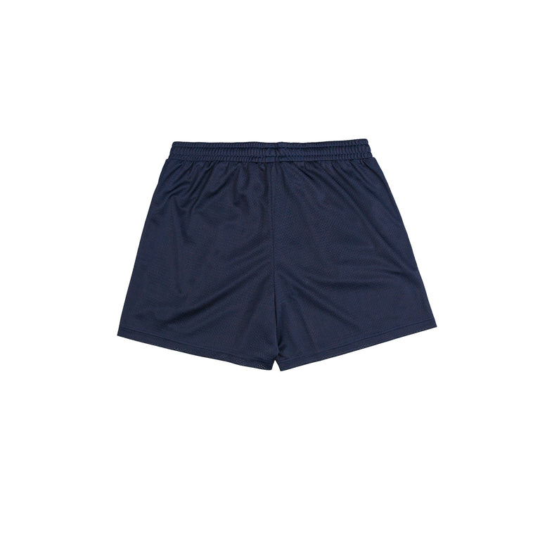 Lacoste Graphic Mesh Shorts