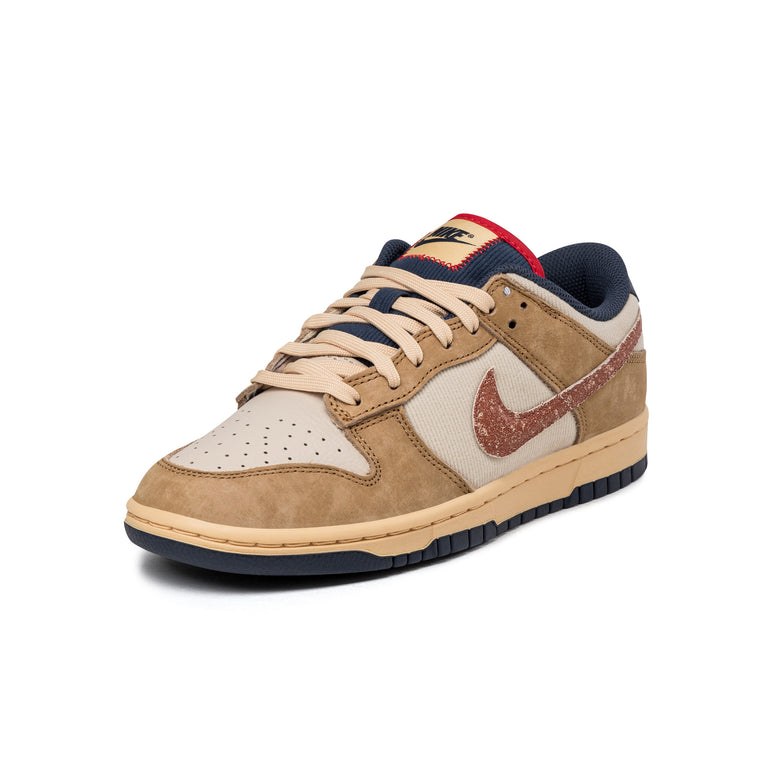 Nike Dunk Low Retro SE onfeet