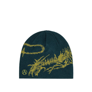 Aries Skeletor Skull Beanie