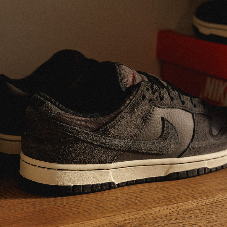 Nike Dunk Low Retro PRM onfeet