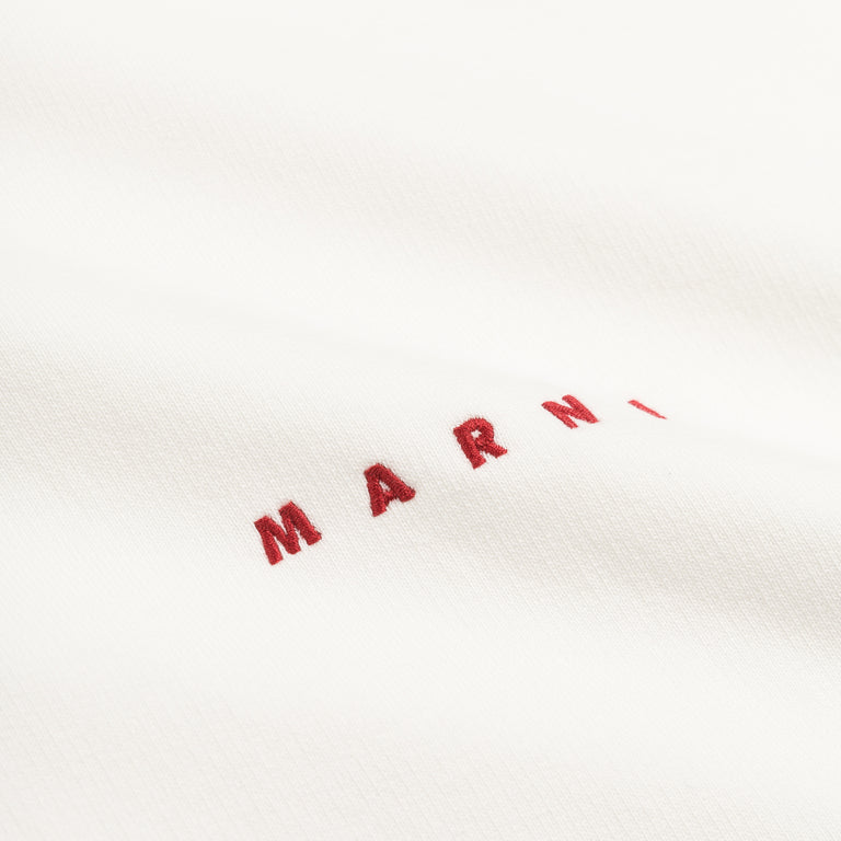 Marni Wrikled Logo Hoodie