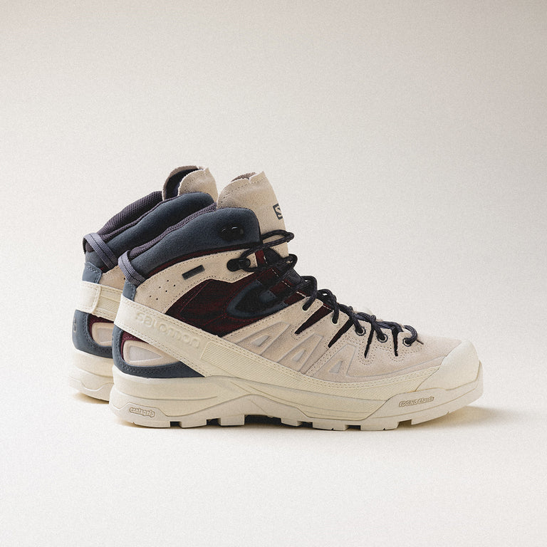 Salomon X-Alp Mid Leather GTX onfeet